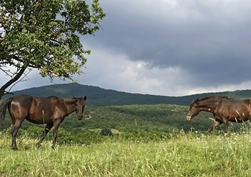 Байдарская долина