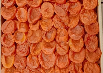 Фото компании ООО Развитие 1