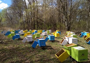 Фото компании  ПанПасека 1