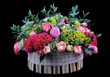 Фото компании ООО Ирис 4