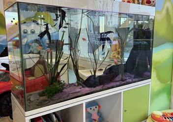 Фото компании  Family Room 5