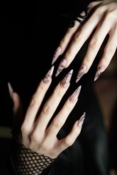 Фото компании  "Jungle" 7