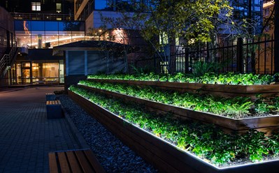 Фото компании  Primula 3