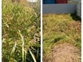 Дмитрий расчистка базы от сорняка в Краснодаре