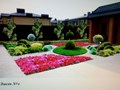 Фото компании Ландшафтная компания Благоюг 3