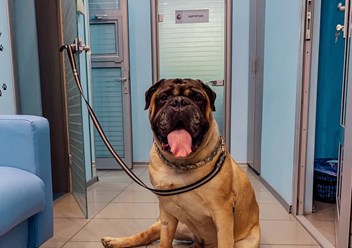 Фото компании  Леовет 1