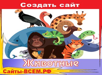 Предлагаем заказать разработку и создание сайта под ключ на тему животные. Сроки от 3 дней. Поддержка проекта 30 дней.
