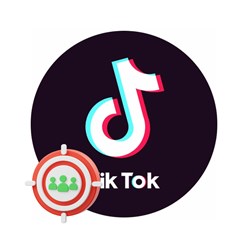 Накрутка подписчиков в тик ток