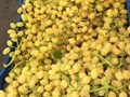 Виноград Томпсон - янтарный турецкий кишмиш. 120 руб./кг