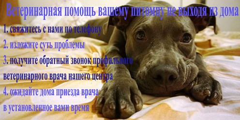 Фото компании ООО Белый Бим 12
