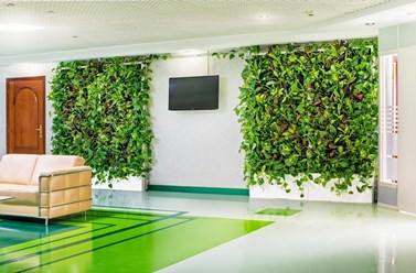 Озеленение офисвов