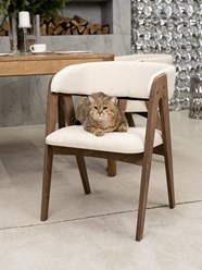 Фото компании  ZASIDELIS 4