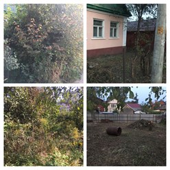 Фото компании  "Покос-спил" 5