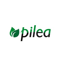 Фото компании АО Pilea.ru 1