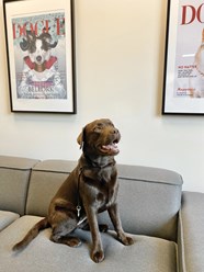 Фото компании  Grooming Hall 2