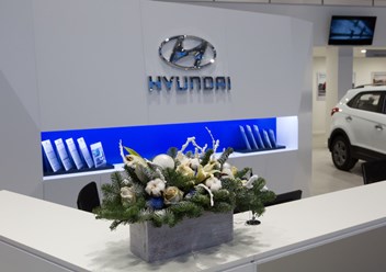 Фото компании  Hyundai Альфа-Сервис Зубово 1