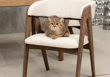 Фото компании  ZASIDELIS 4