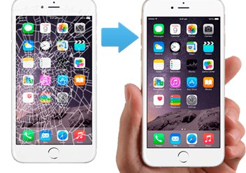 Фото компании СЦ Vector 3