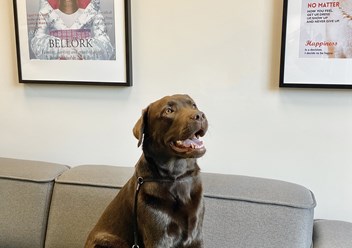 Фото компании  Grooming Hall 2