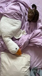 Фото компании ООО Морфеус 7