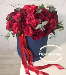 Фото компании  Роза-Мимоза 4