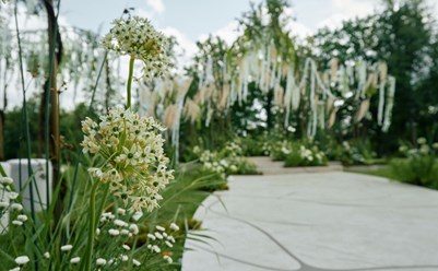 Фото компании ООО Роял Веддинг 8