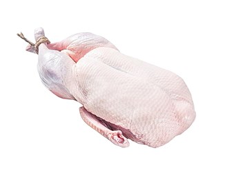 Фото компании ООО «Атлет» 3