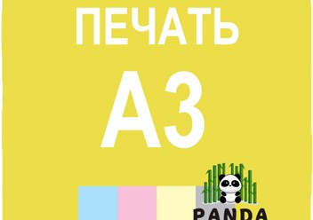 Фото компании  Панда 4