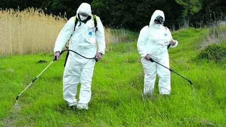 Уничтожение насекомых в Москве 8-495-776-05-15 / 8-495-776-29-26 / 8-967-23-444-34