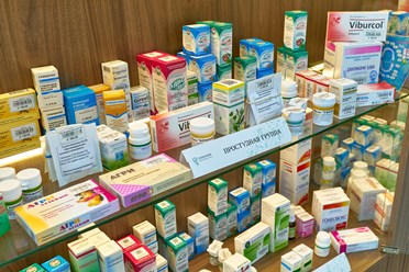 Фото компании  Эхинацея 5