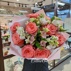 Фото компании  Camelia 2