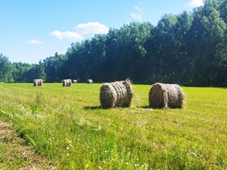 Фото компании ООО ОкаЛэнд 2