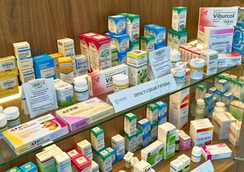 Фото компании  Эхинацея 5