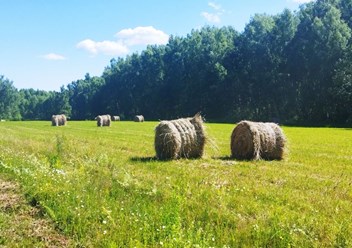 Фото компании ООО ОкаЛэнд 2