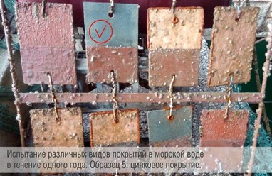 Фото компании ИП Anticor.pro 11