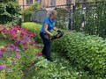 Фото компании  "Заботливый садовник" 3