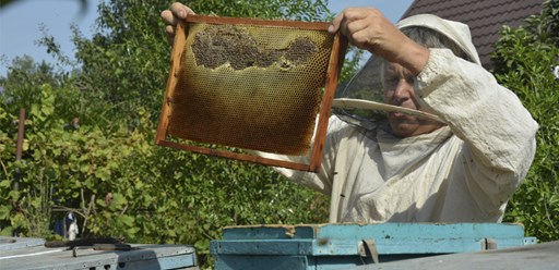 Фото компании ООО Кубанская Пасека 1