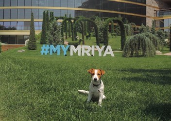 Дрессировка собак  в Ялте. Кинолог Руслан тел. +7(978)-01-777-18 Более подробную информацию о нас смотрите на сайте:  http://www.kinolog-rf.ru/