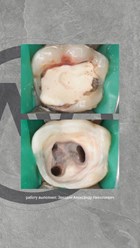 Фото компании ООО Лаборатория Улыбок 11