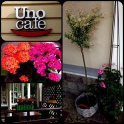 Фото компании  Uno Cafe, ресторан 23