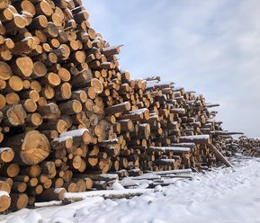 Фото компании ИП Лес да сруб  1