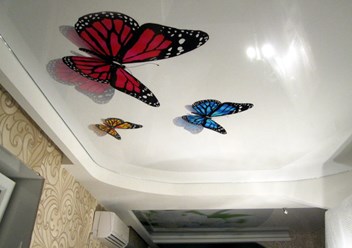 Фото компании  Седьмое небо 6