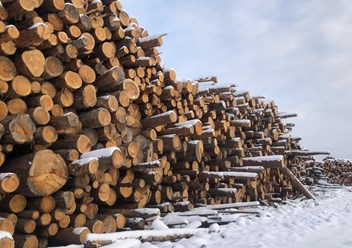 Фото компании ИП Лес да сруб  1