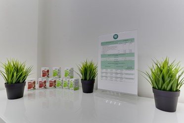 Фото компании  Шаг 2