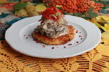 Фото компании  Штолле 26