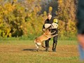 Фото компании  KARVIDEAN 2