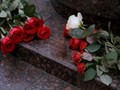 Фото компании  Гранит-Мастер 4
