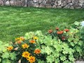 Фото компании ИП Triasadcrimea 3