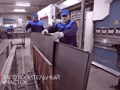 Фото компании ООО Сталл-Doors 3