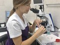 Фото компании  Центр ветеринарной офтальмологии доктора Шилкина А.Г. на ул. Снежная 5